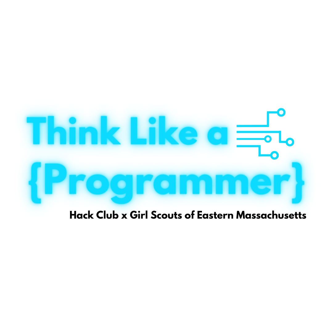 Logo for Think Like a Programmer